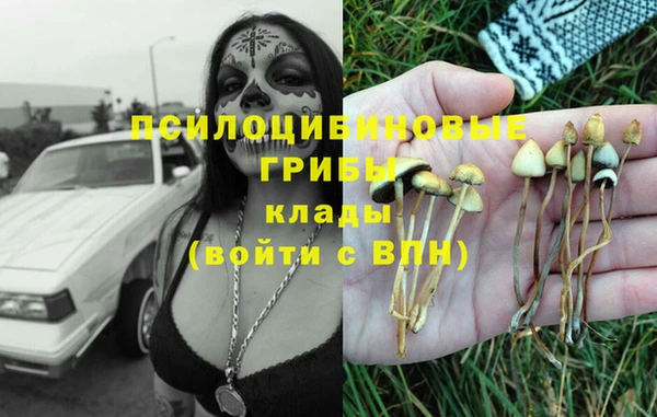 герыч Арсеньев