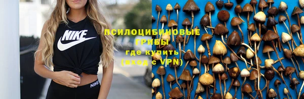 молекула духа Аркадак