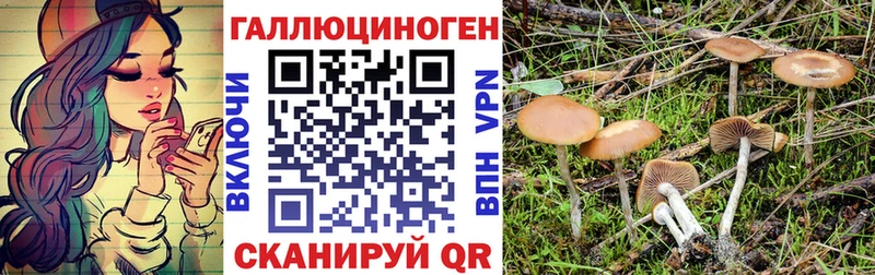 Псилоцибиновые грибы GOLDEN TEACHER  Петухово 