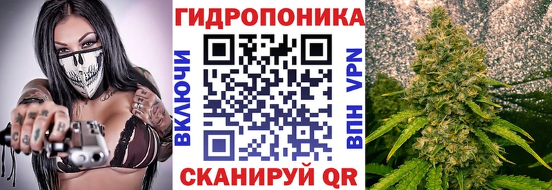 купить закладку  Петухово  Шишки марихуана семена 